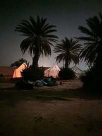 WhatsApp Image 2025-01-02 à 16.40.57_f9c5b7f5.jpg