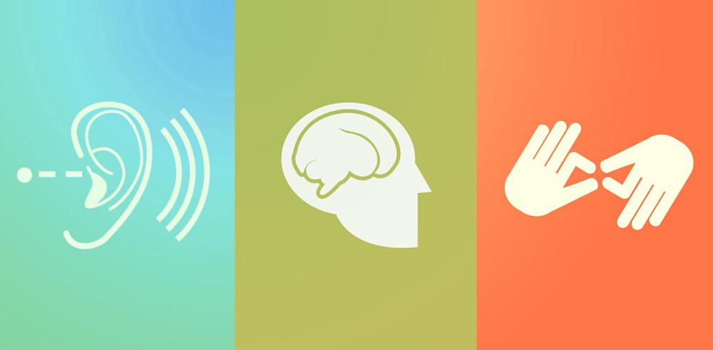 Symbol of ear, brain and hands signifying different types of users