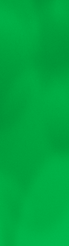 BG_Verde.png