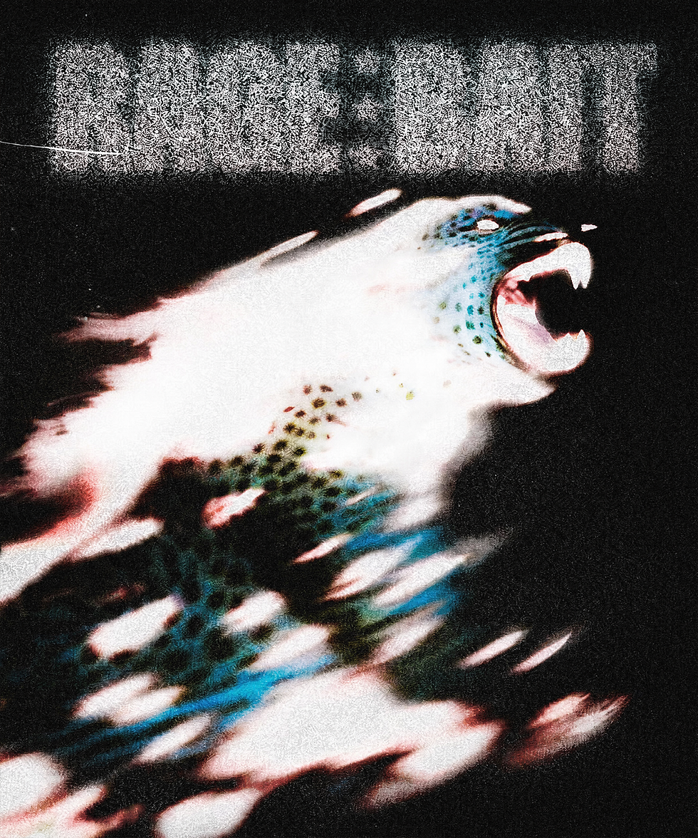 9.png