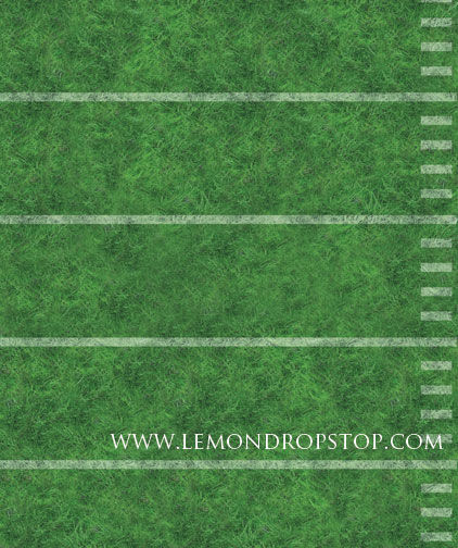 LD - Football Field Grass