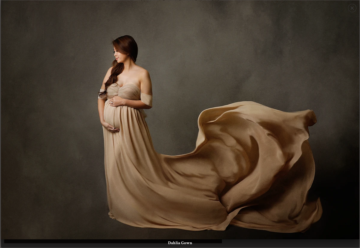 Ana Brandt Dahlia gown