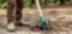 Man Using Dandelion Puller