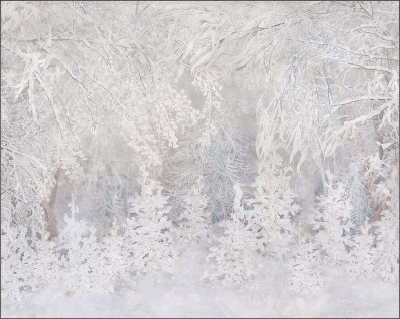 BD-Lost-in-Frost