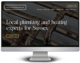 Brand Development & Website Design - SCPH