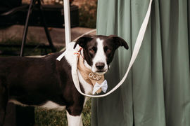 T&M-Ceremony (498 of 642).jpg