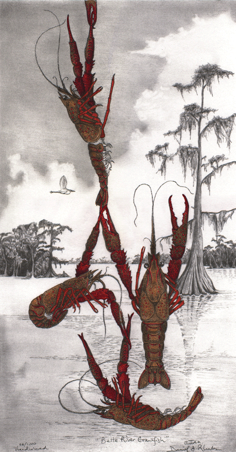 Big Sky Atchafalaya Series | Daniel J. Rhodes Art