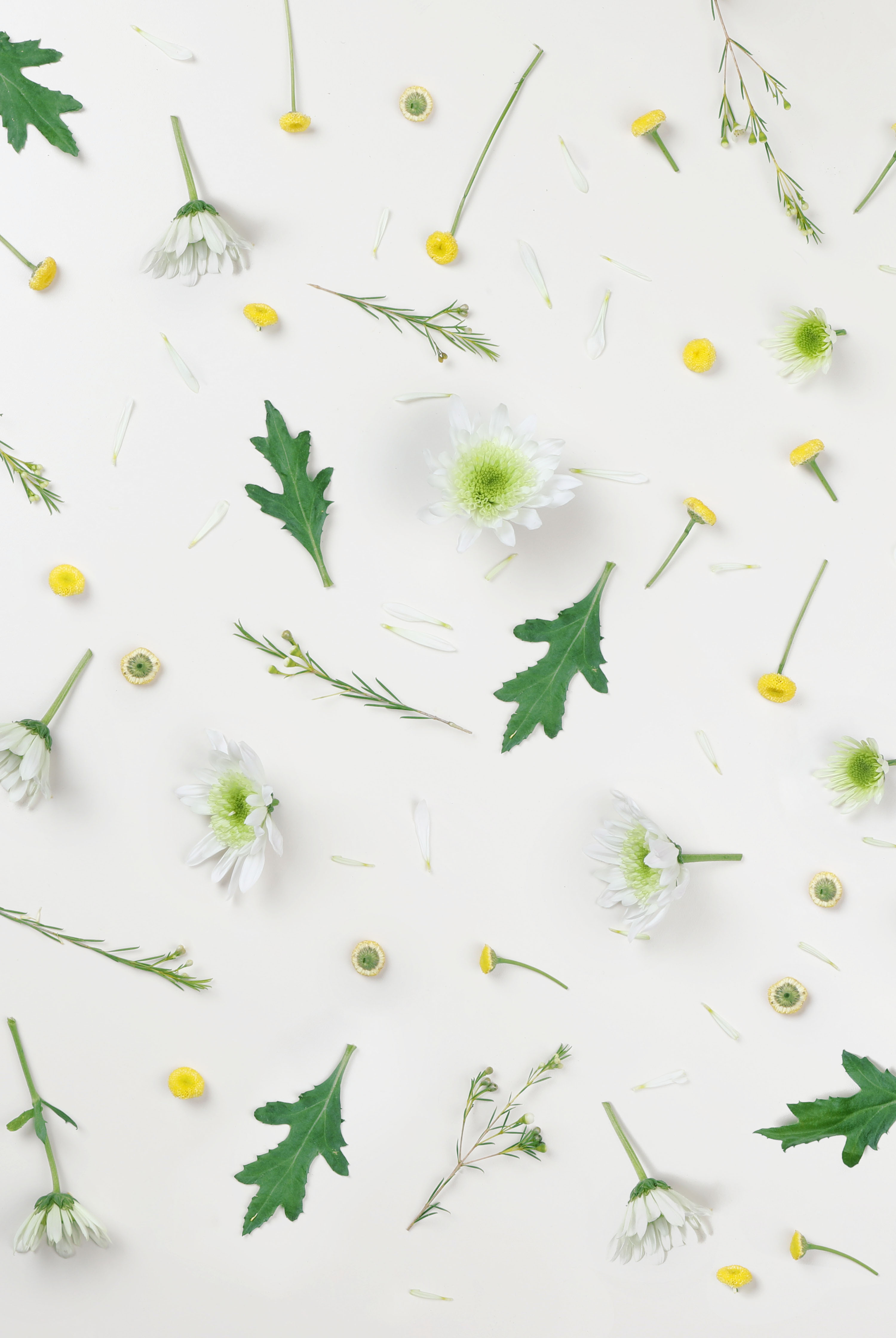 Yシャツ・かりゆし | 京都屋クリーニング