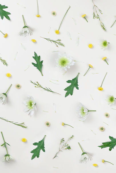 Chamomile