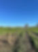 353977989_212760228317014_1594571276083828737_n.jpg