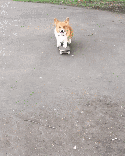 giphy-2.gif