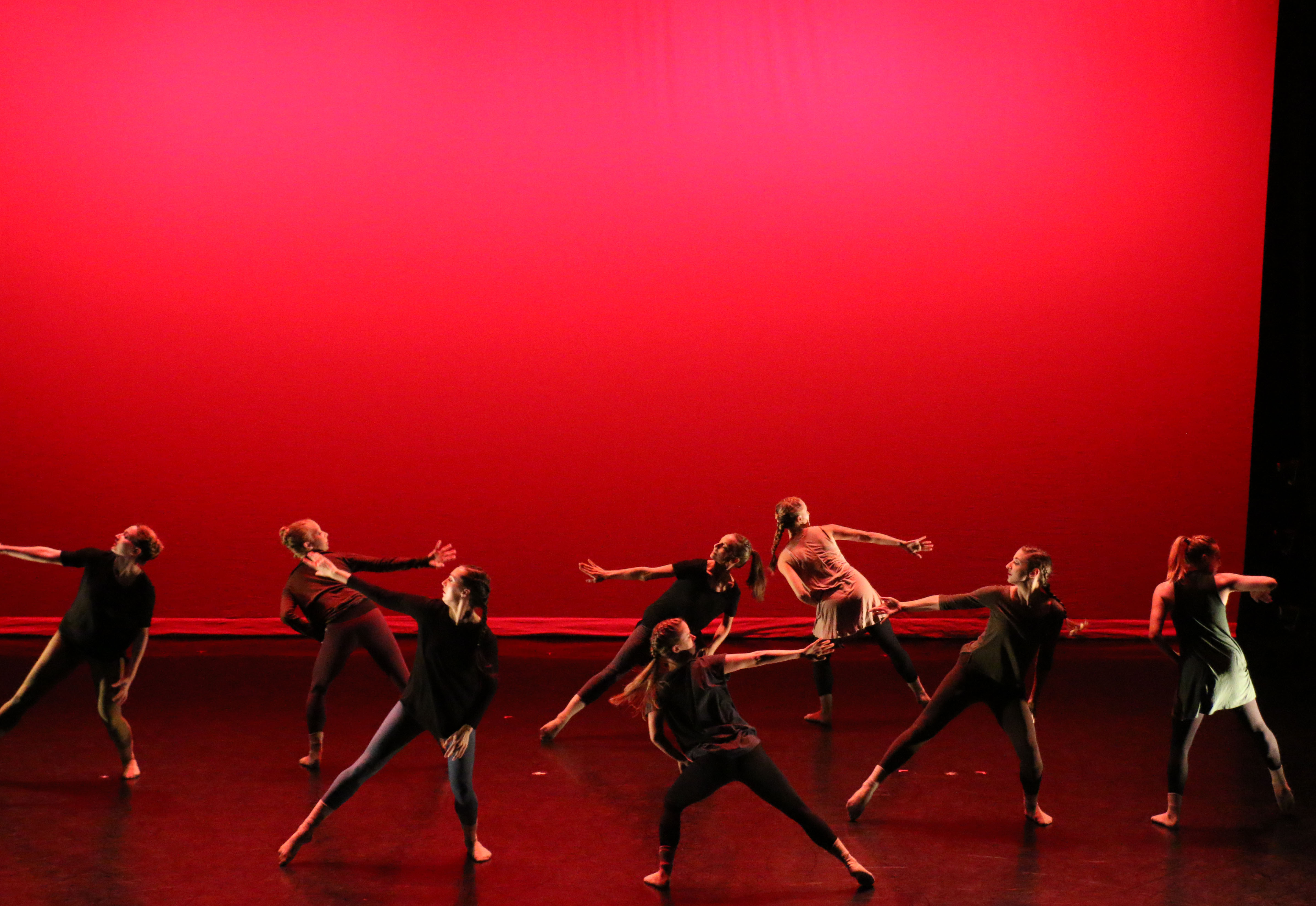 TRANSLATE: Voices of Dance