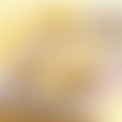 Amish Breakfast Casserole