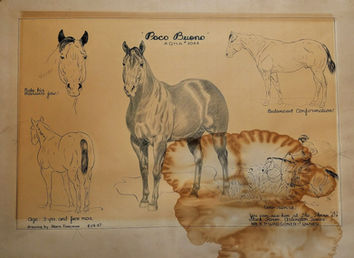 Paco Bueno Horse - Houston Museum -Graphite on Paper 1947 - BEFORE - damaged - Arlington, Texas -Tindells Restoration