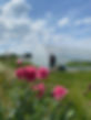 IMG_6351.jpeg