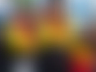 Brunnhübner ist Junioren- Europameisterin