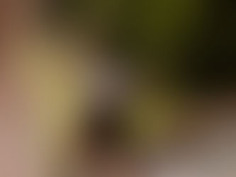 1. Zentraler Leistungstest