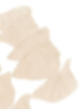 Dumplings_edited.jpg