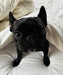 IMG_4037.jpeg