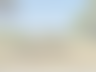 The Do's and Don'ts of Buying Vacant Land