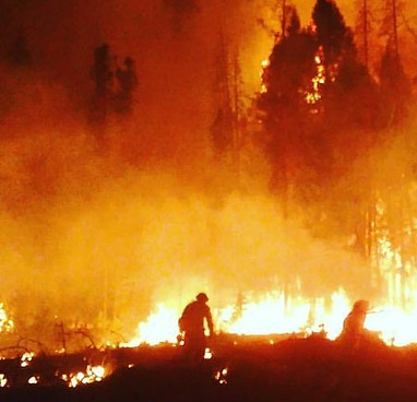 57597554_1968503829927610_57791952463111