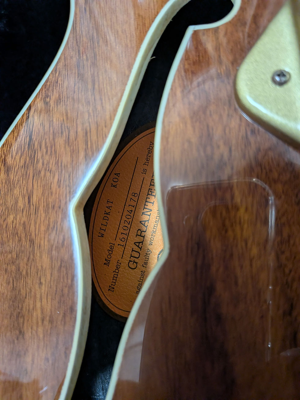 サムネイル： Epiphone Wildkat KOA MOD オリジナルハードケース付き