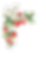 Strawberry5.png
