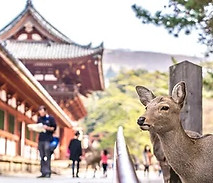 先生写真.jpg