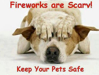 THE BIG BANG OF FIREWORKS KEEP THEM SAFE!