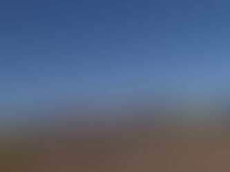 マラソン記録会