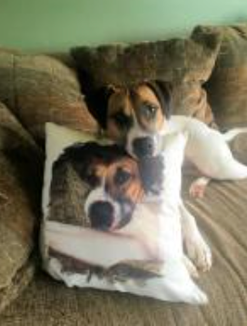 Thumbnail: Cloth Pillow Cases