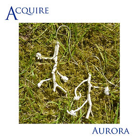 Aurora 2.jpg