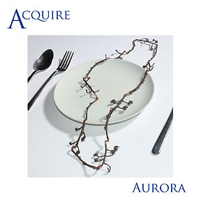 Aurora 4.jpg