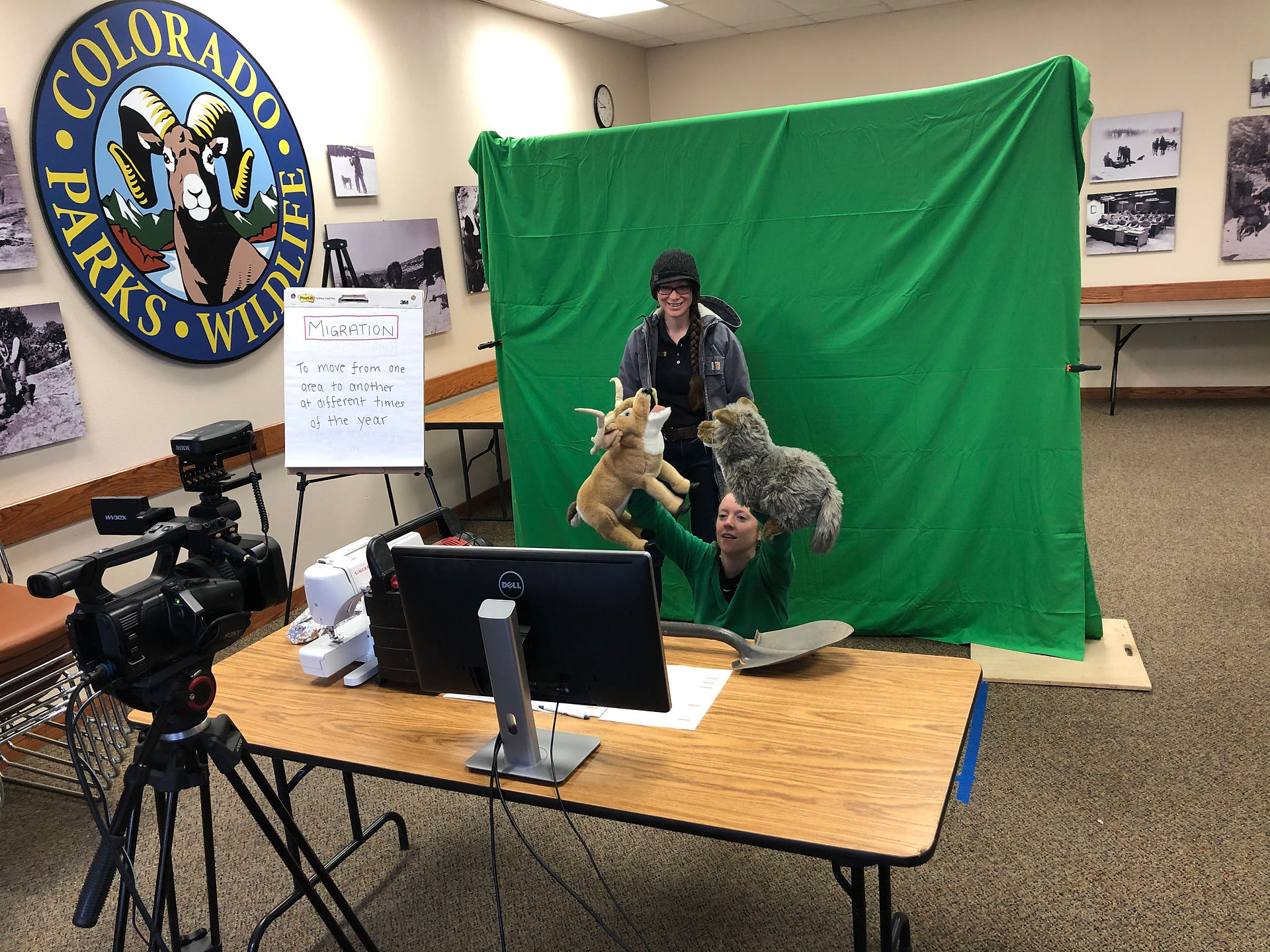 Distance Learning Wildlife
