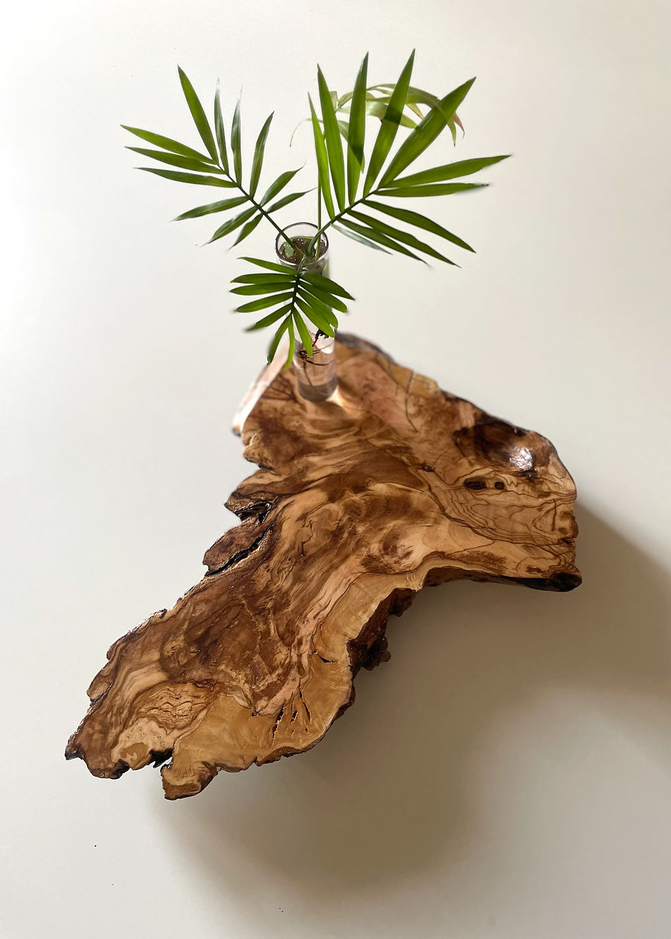 Centrotavola in legno di ulivo, pezzi unici.