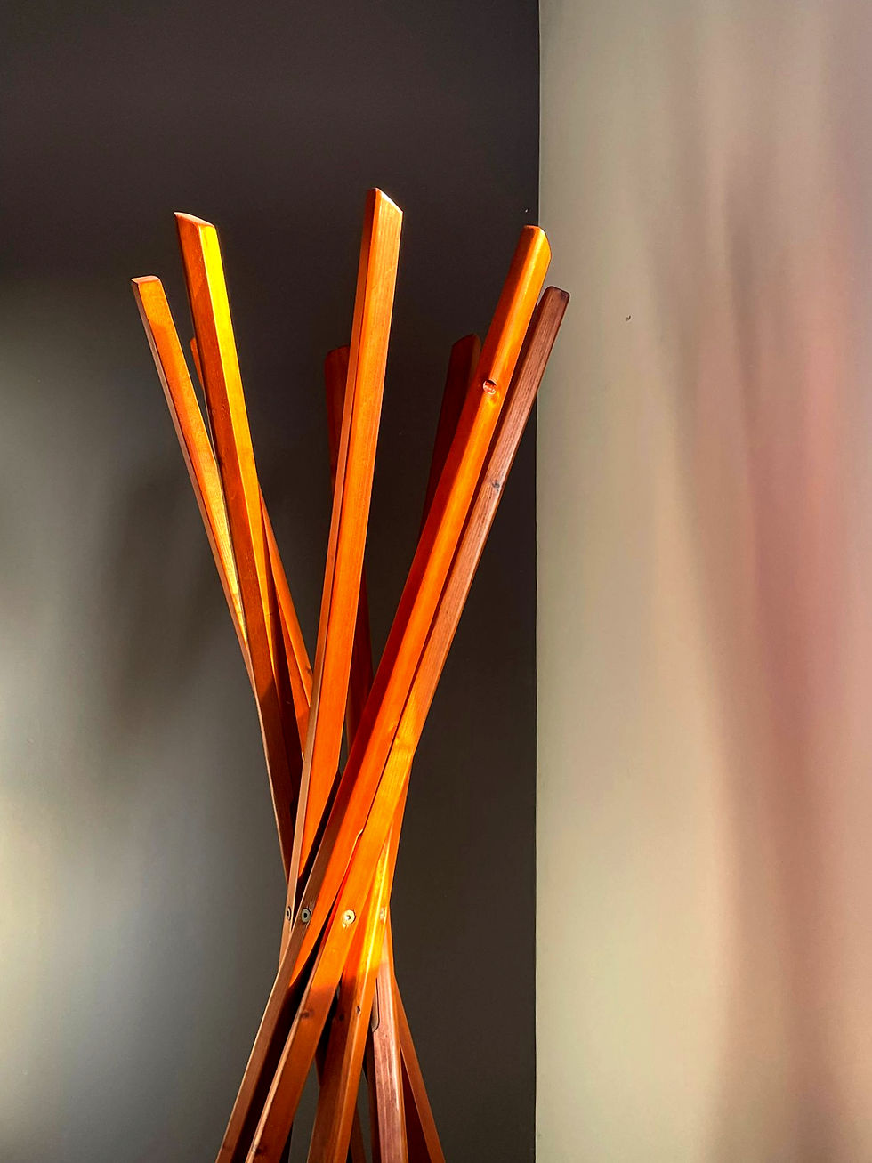 Vortex Appendiabiti da camera