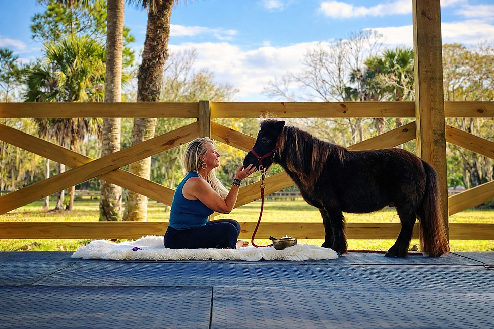 Morning Stillness at Wild Sky Farm