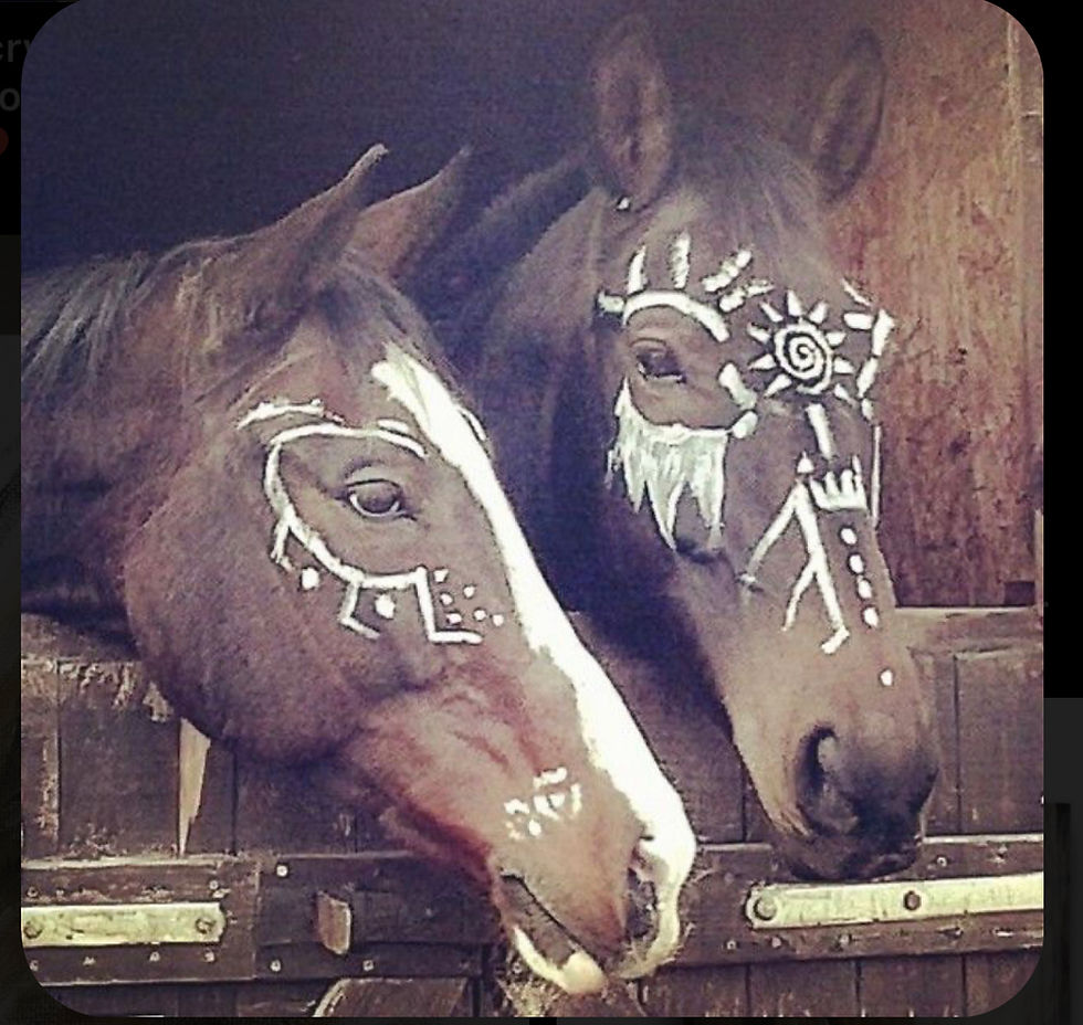 New Moon Intention Setting with Horses