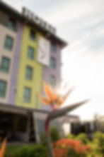 Hotel Verde Bird of Paradise