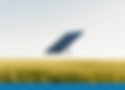 wmremove-transformed.jpeg