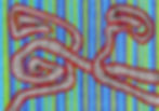 Protospirals 3
