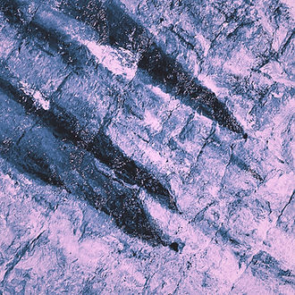 LadieLex-unfold-artwork.jpg