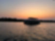 IMG_1475.jpg