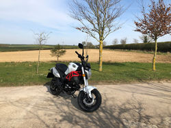 Colt 50 white