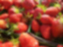 fraises cueillies.jpg