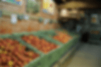 LES POMMES DU VERGER