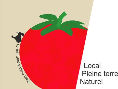 Tomates de la ferme des Authieux Locales pleine terre et conduite naturelle. 