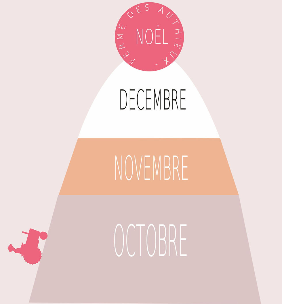 PREPARER NOEL EN AUTOMNE_edited.jpg