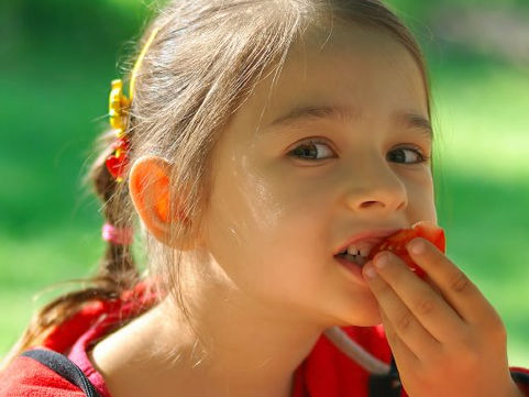 Le fruit frais oui, la fraîche découpe non. ferme des authieux 