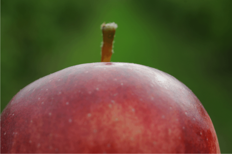 pomme+gros+plan